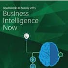 Business Intelligence Project Analysis Strategy and Methodology
