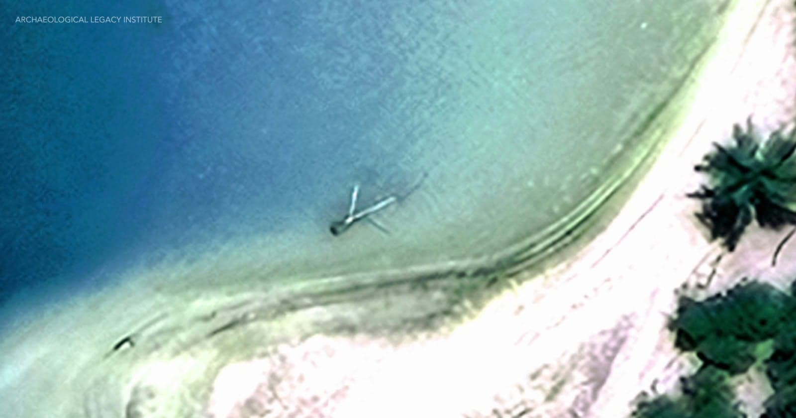 Amelia Earhart’s Airplane or a Coconut Tree? New Expedition Seeks the Truth