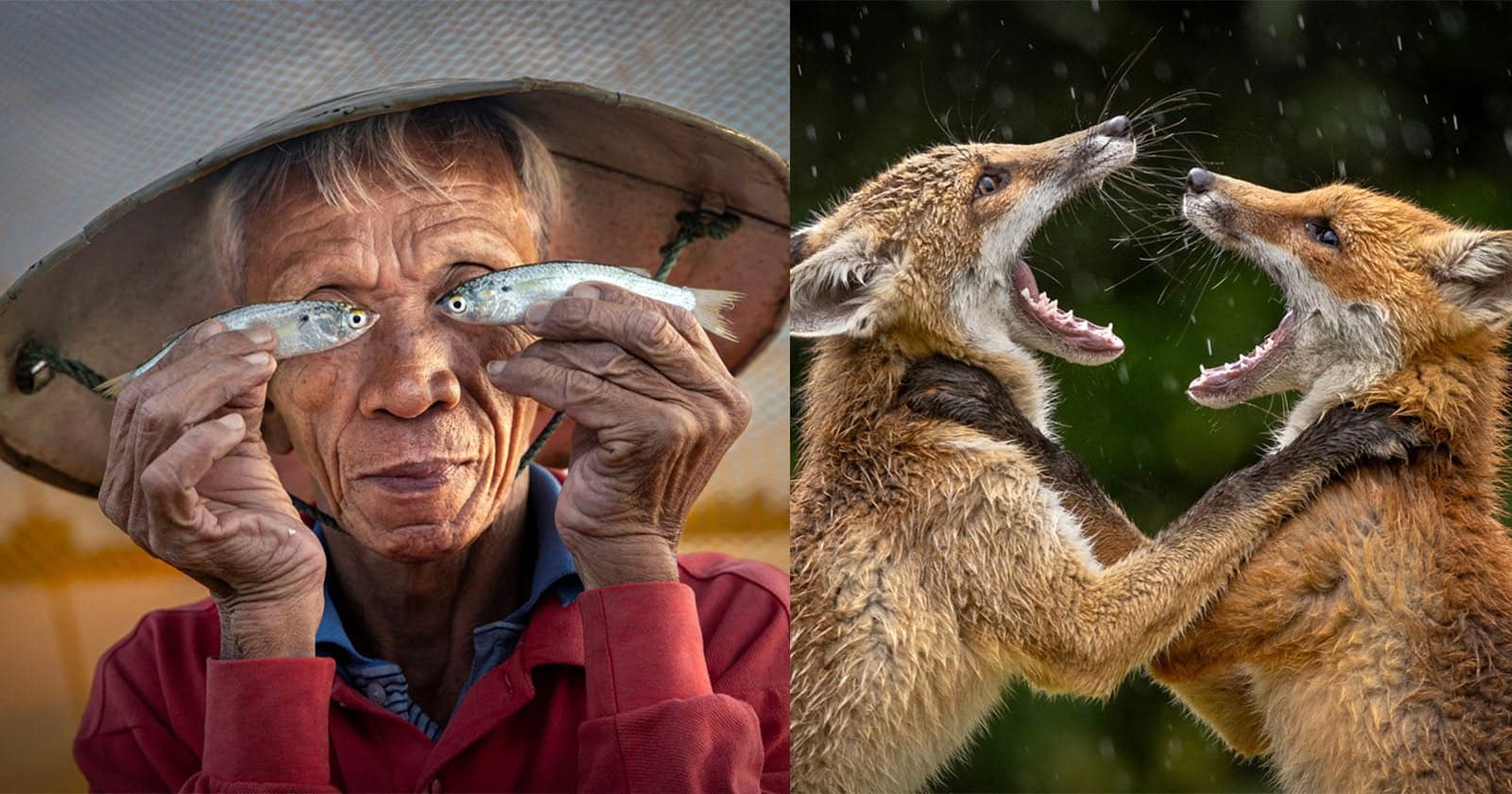 The Wonderful Winners of the LCE Photography of the Year Competition