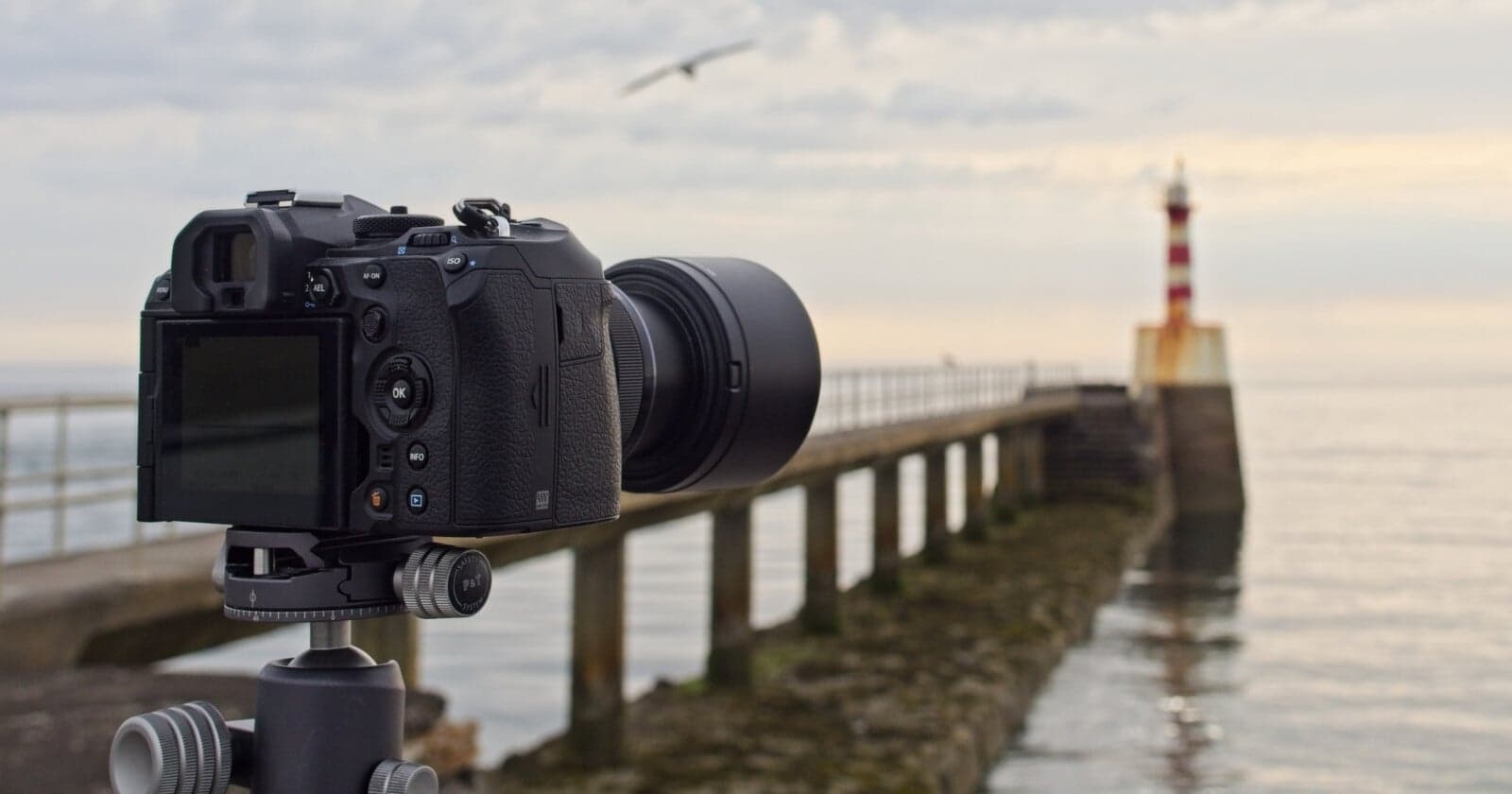 The Secrets Behind a Successful Photography Business