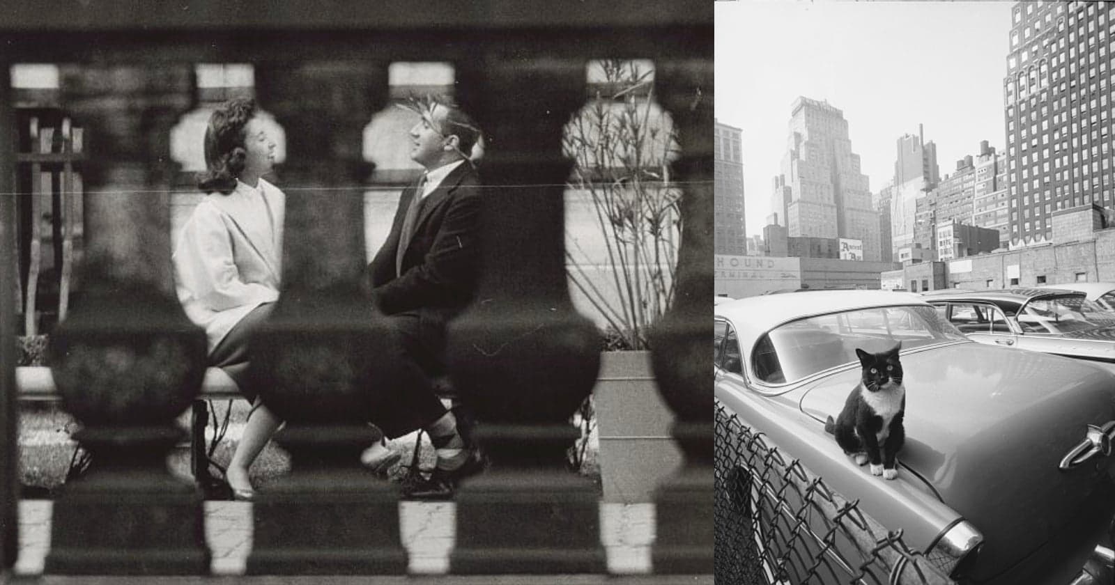 The Other Vivian Maier: The Street Photography of Angelo Rizzuto