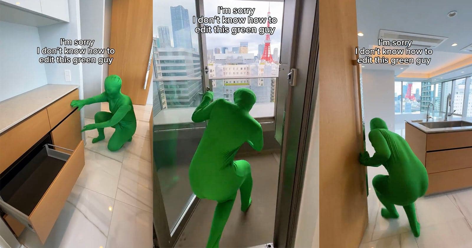 Real Estate Agent Hires Green Screen Guy But Doesn’t Know How to Remove Him
