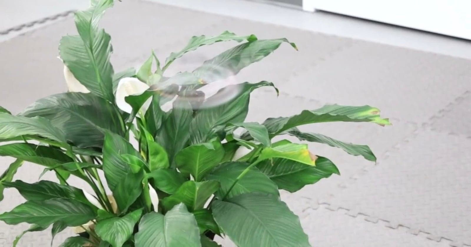 Researchers Design ‘Invisible’ Drone That Vanishes Before Your Eyes