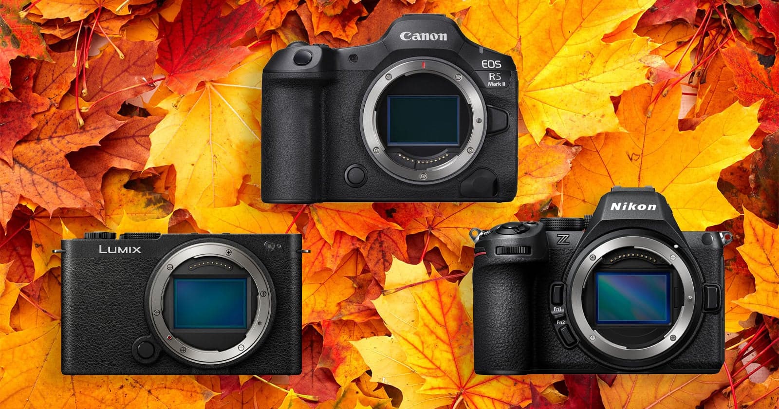 Save Hundreds on These 15 Mirrorless Cameras