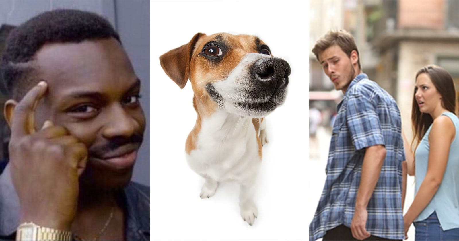 What Happens When Your Photograph Becomes a Viral Meme?