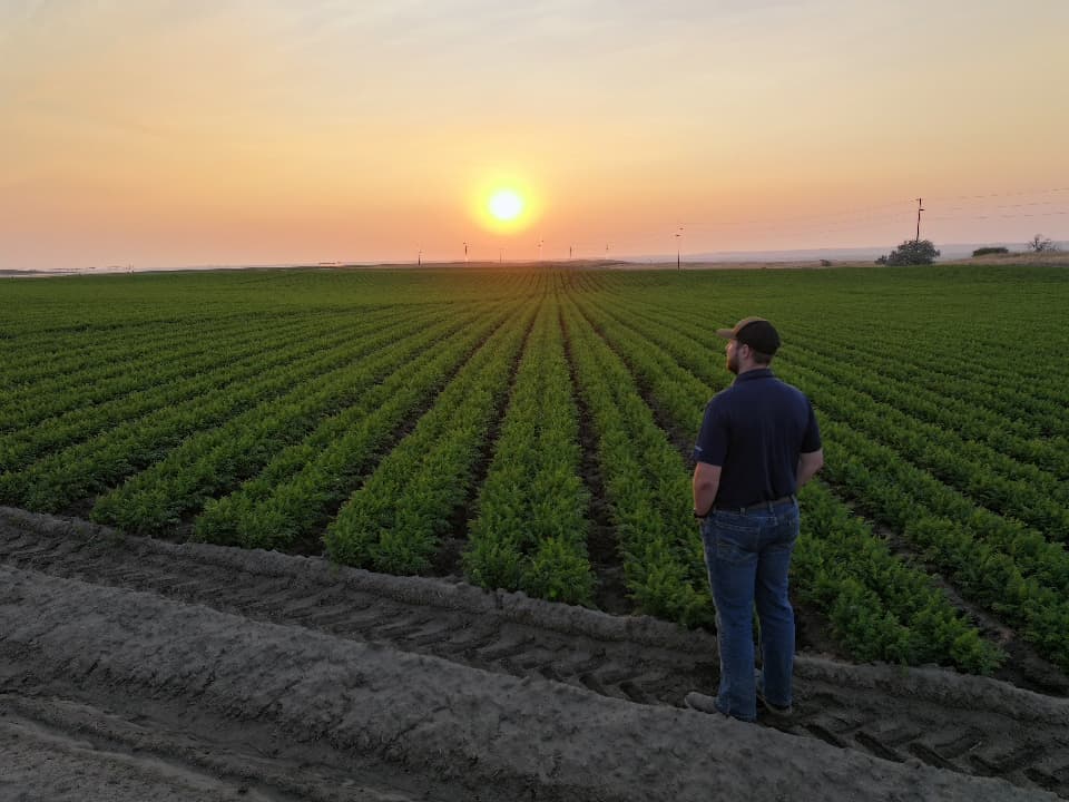 From weather data to smarter farms with WSU