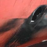 Indian Navy Removes Unexploded Warhead From Missile Hit Crude Tanker Off Kochi