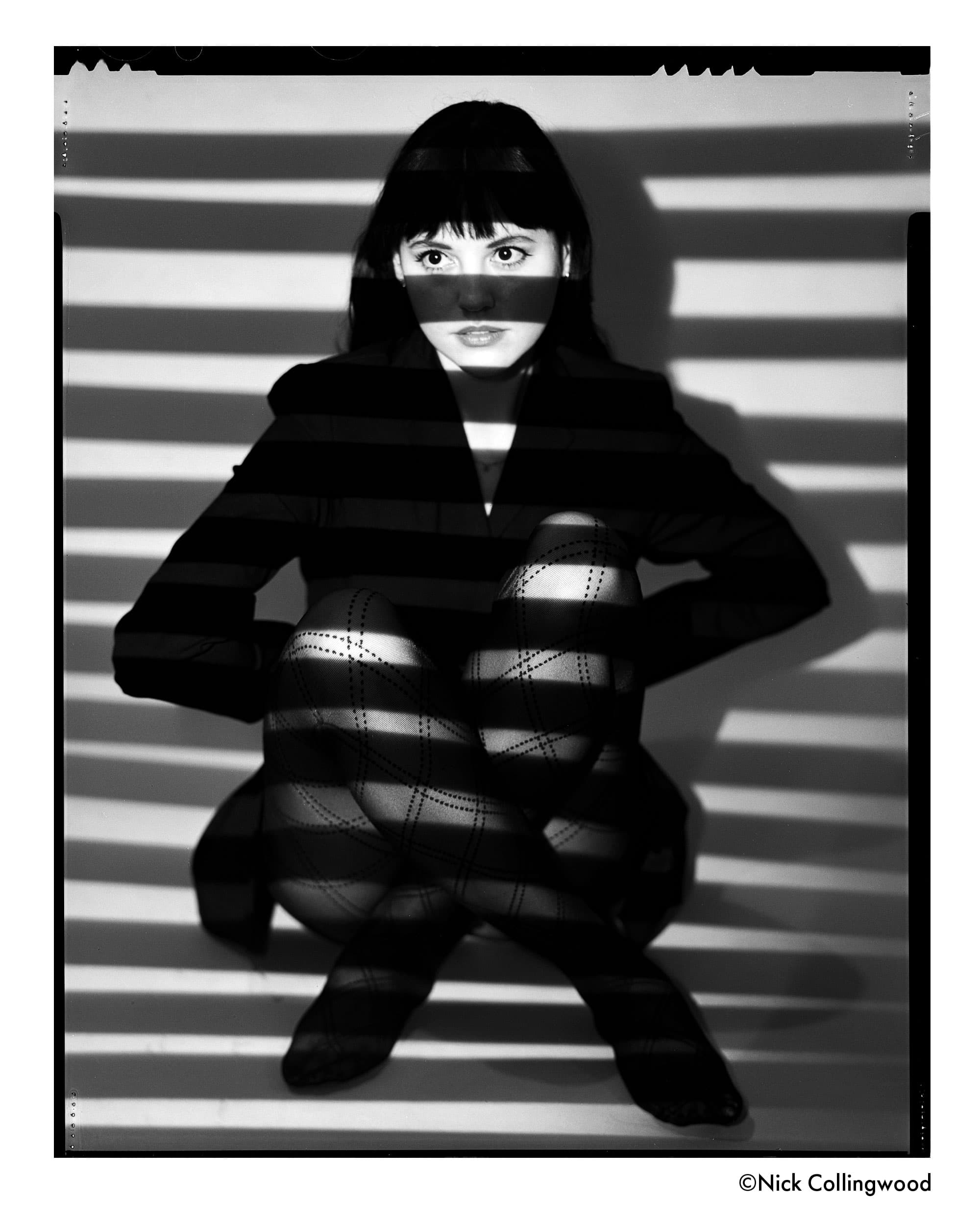 Ilford Pan F Plus Now Comes in 4×5 and 8×10