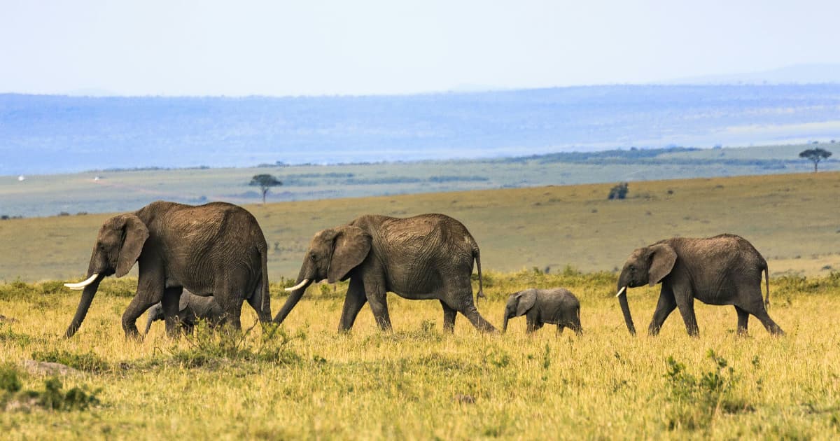 PostgreSQL 19 Beta Introduces SQL Graph Queries and Concurrent Table Repacking