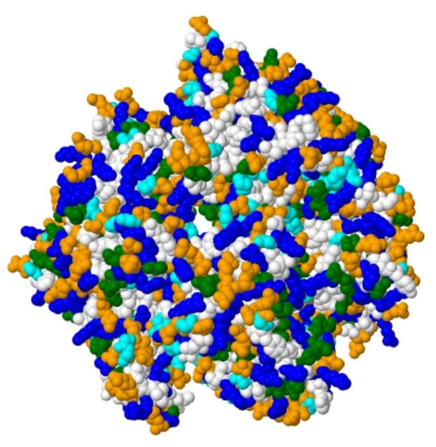 Proteins: A Mosaic Pattern to Rule Them All?