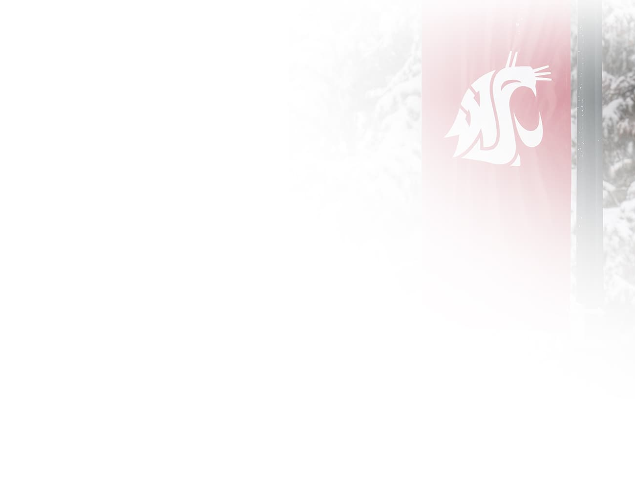 Announcing the search for a new provost