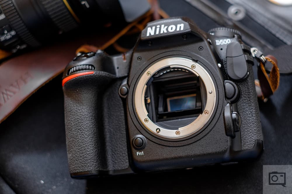 Is Nikon Finally Building a True D500 Replacement?