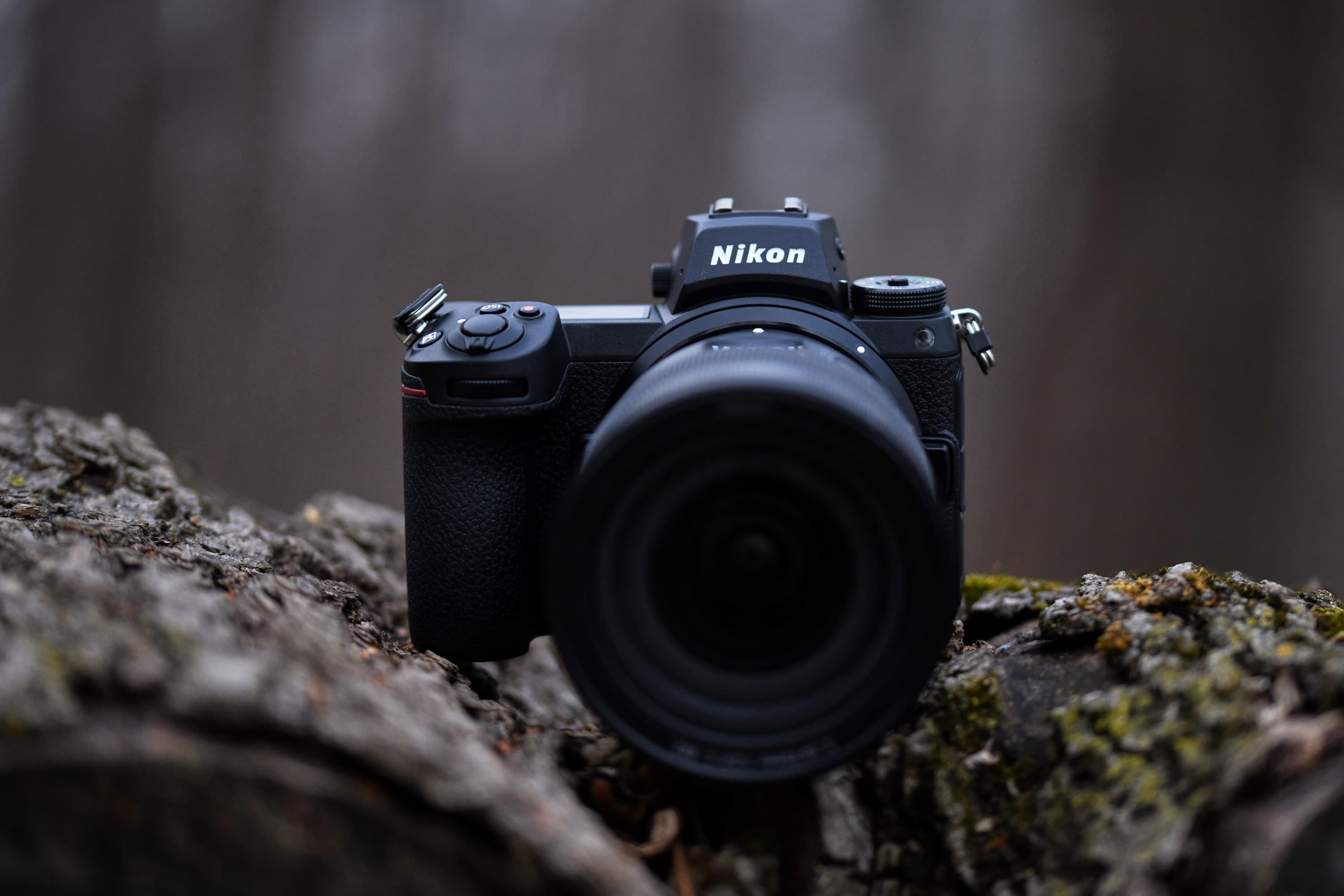 Buying the Nikon Z6 Series in 2026. Which Ones Are Still Worth It?