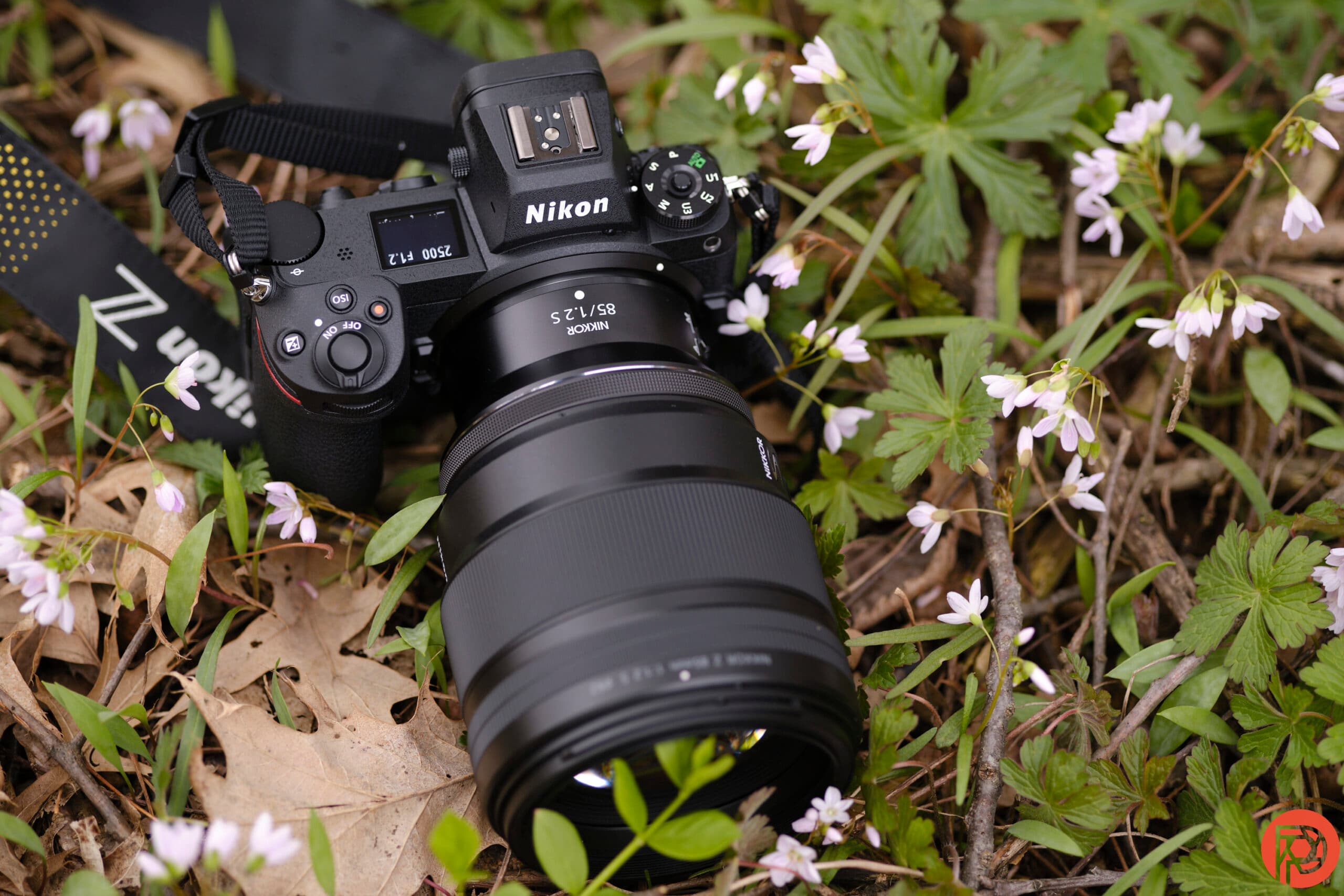 Our Favorite Portrait Lens from Nikon That You Must Get