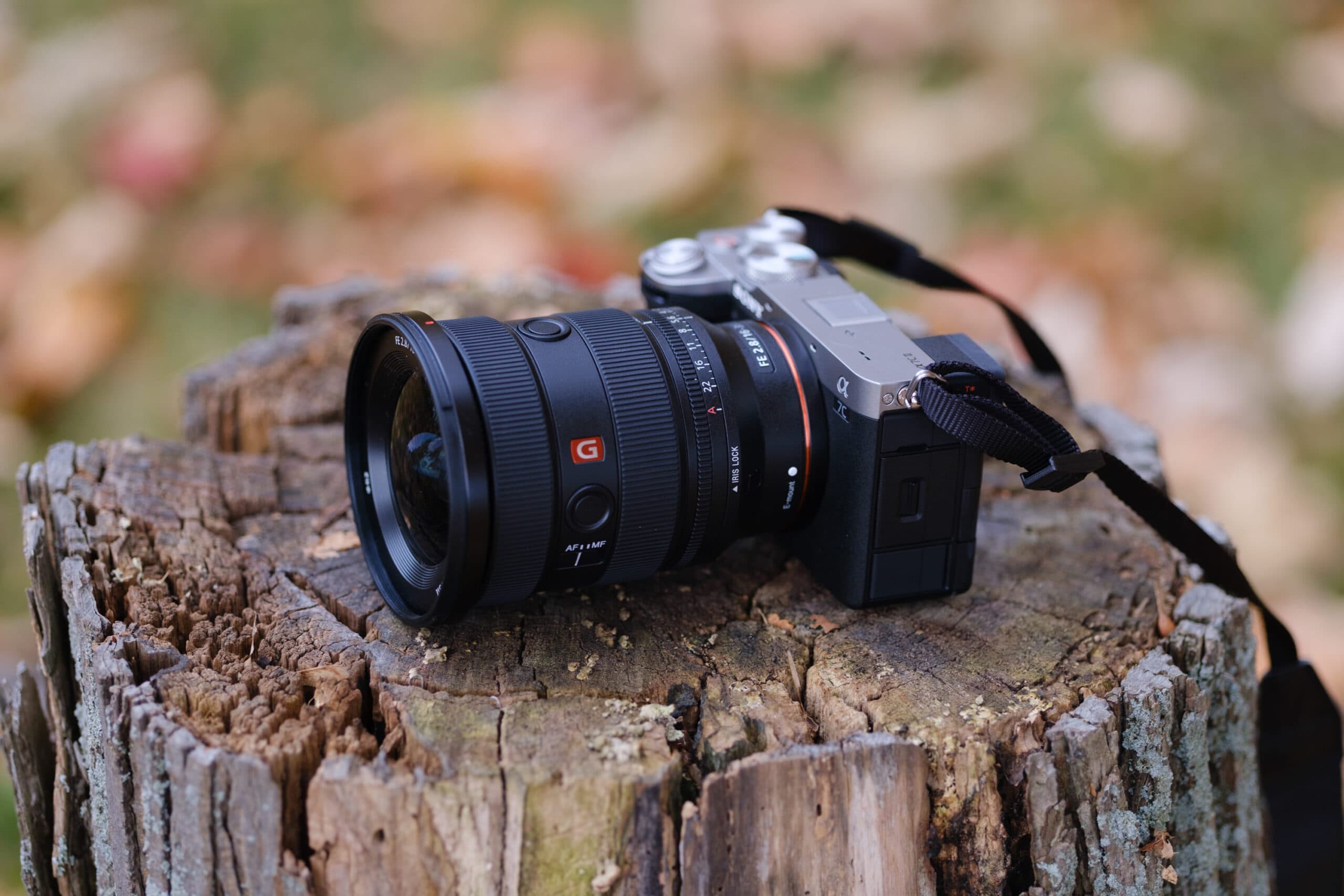 The Best 3 ILCs Acting as Compact Cameras (Part 1)