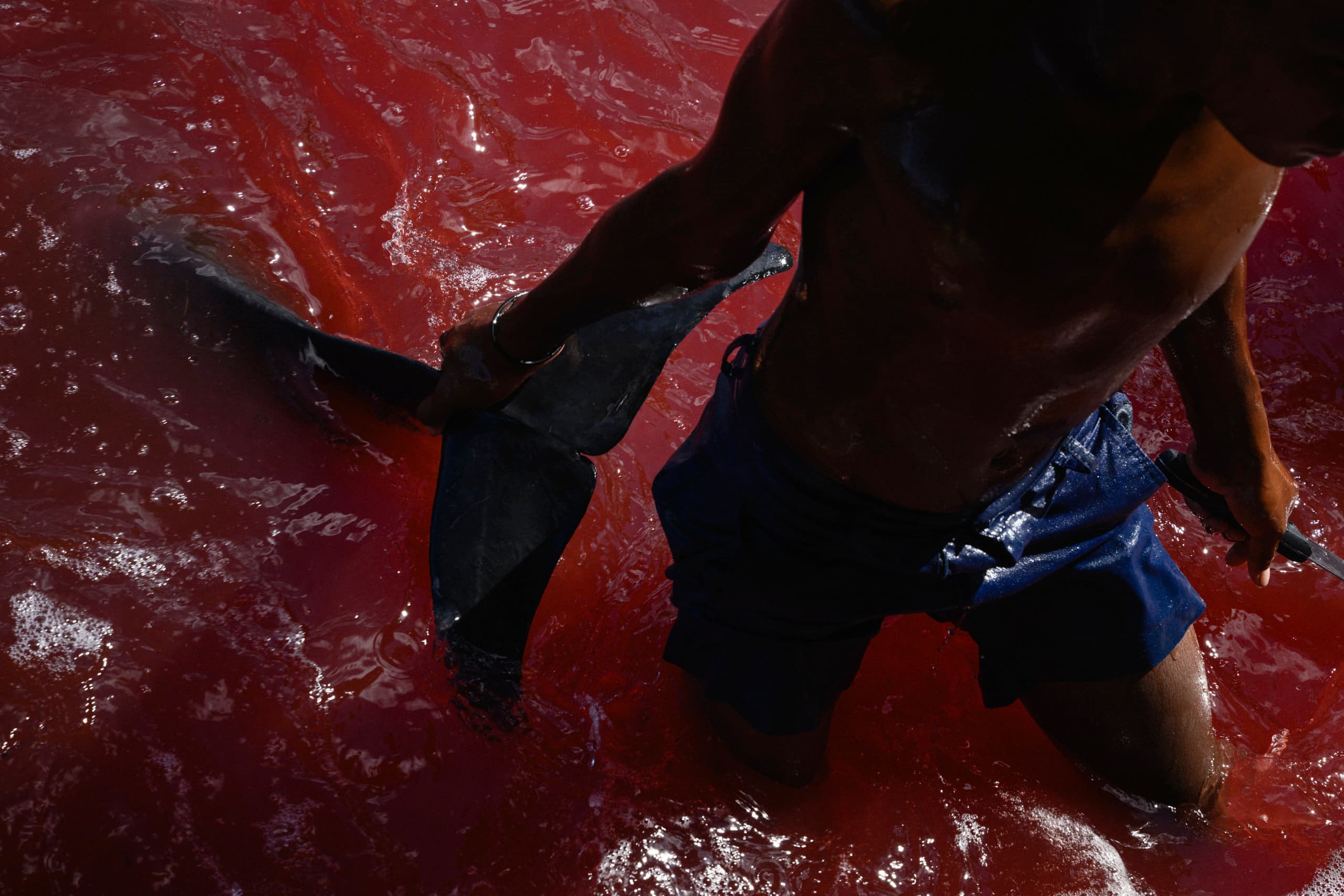 The 2026 World Press Photo Awards Have an Obvious Gear Trend