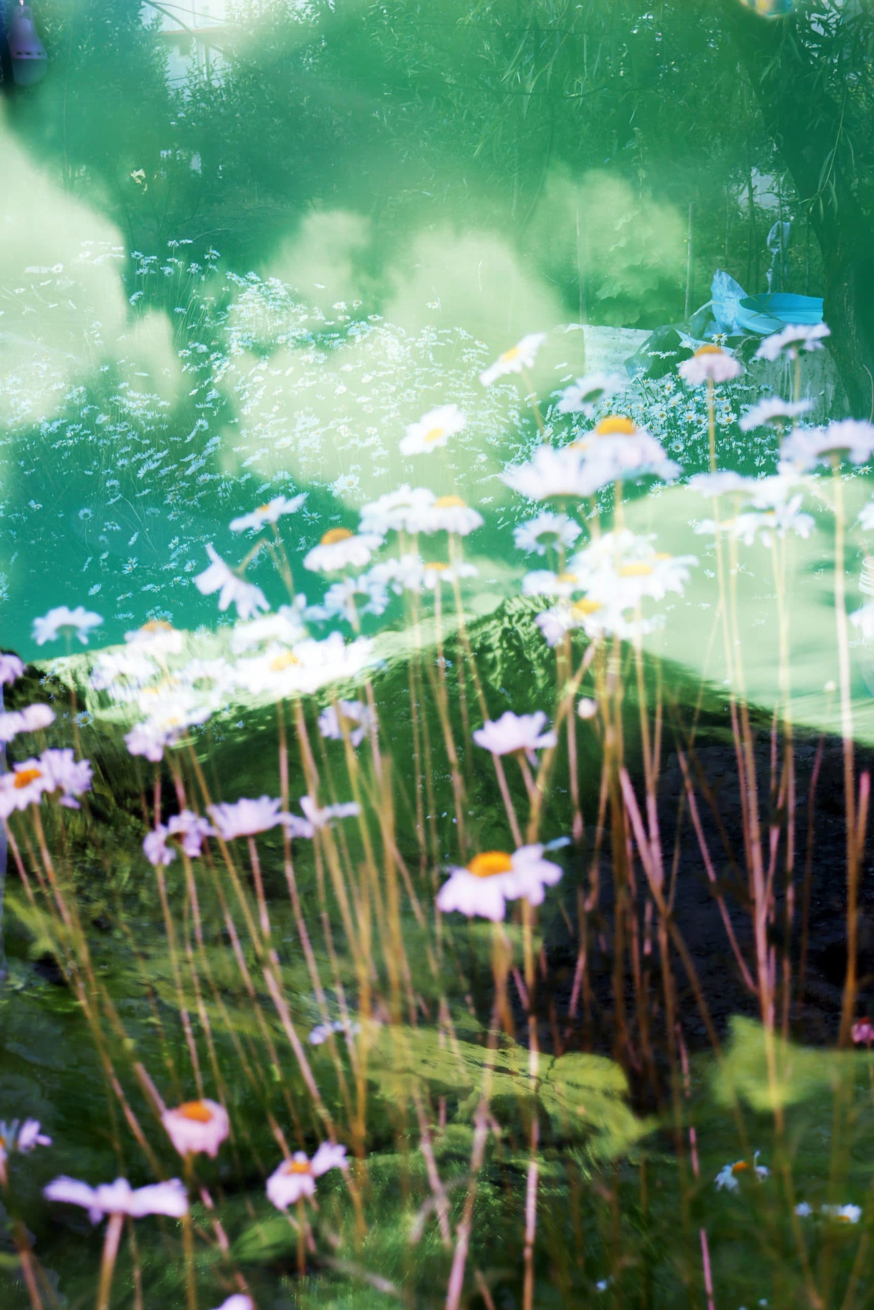 How to Find Photography Inspirations Without Copying Movies and Social Media